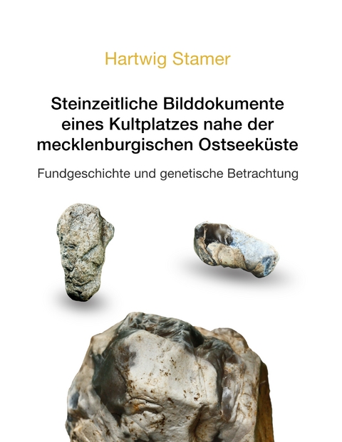 Steinzeitliche Bilddokumente eines Kultplatzes nahe der mecklenburgischen Ostseek&uuml;ste - Hartwig Stamer