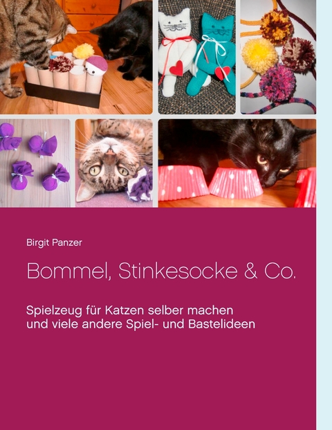 Bommel, Stinkesocke & Co. - Birgit Panzer