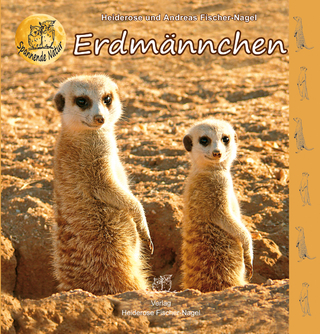 Erdmännchen