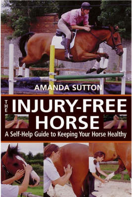 The Injury-Free Horse