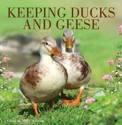 Keeping Ducks and Geese - Chris and Mike Ashton, Chris Ashton, Mike Ashton