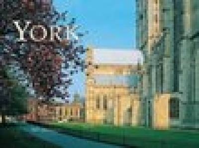 York Groundcover - Neil Jinkerson