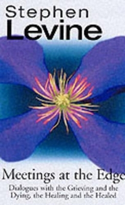 Meetings at the Edge - Stephen Levine