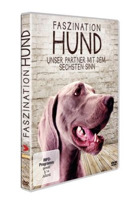 Faszination Hund - Unser Partner mit dem sechsten Sinn, 1 DVD