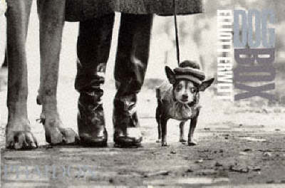 The Dog Box - Elliott Erwitt