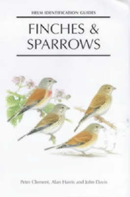 Finches and Sparrows