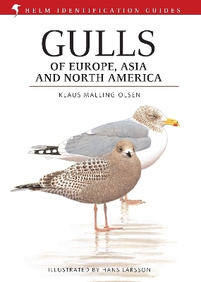 Gulls of Europe, Asia and North America - Klaus Malling Olsen