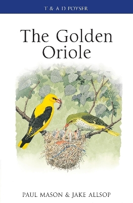 The Golden Oriole - Paul Mason, Jake Allsop