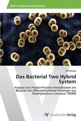 Das Bacterial Two Hybrid System - Elif K&ouml;ksoy