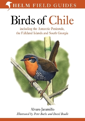 Birds of Chile