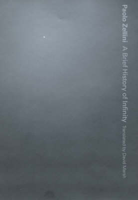 A Brief History of Infinity