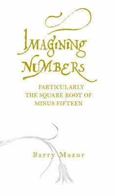 Imagining Numbers