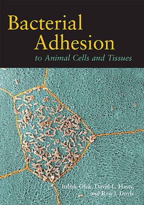 Bacterial Adhesion to Animal Cells and Tissues