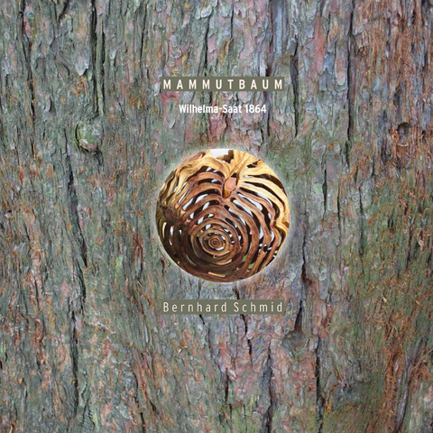Mammutbaum -  Bernhard Schmid