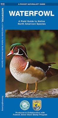 Waterfowl - James Kavanagh, Waterford Press