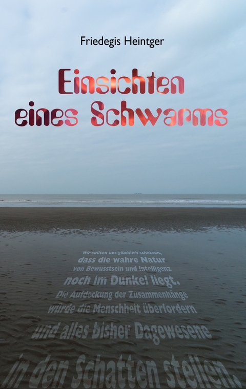 Einsichten eines Schwarms - Friedegis Heintger