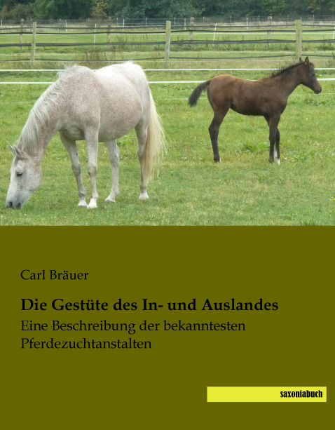 Die Gest&uuml;te des In- und Auslandes - 