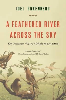 A Feathered River Across the Sky - Joel Greenberg