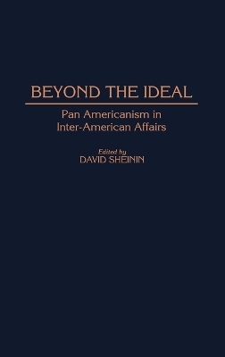 Beyond the Ideal - David Sheinin