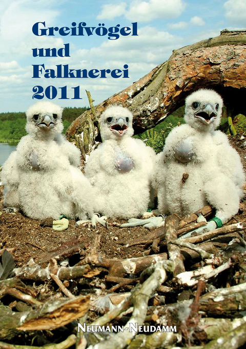 Greifv&ouml;gel und Falknerei