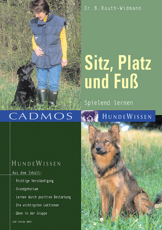 Sitz, Platz, Fuss