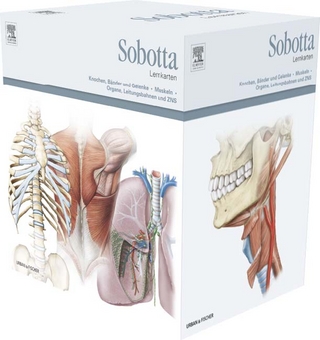 Sobotta Lernkartenpaket