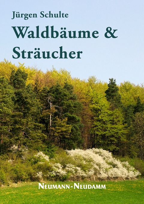 Waldb&auml;ume und Str&auml;ucher - J&uuml;rgen Schulte