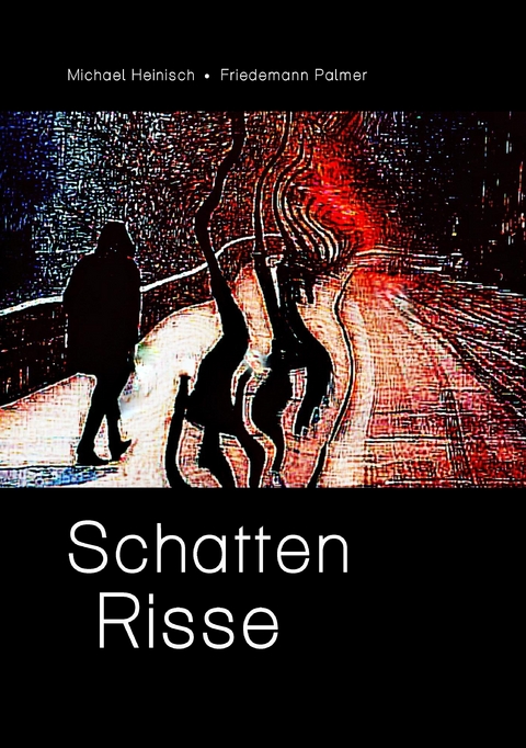 Schatten Risse - Michael Heinisch, Friedemann Palmer