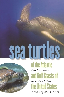Sea Turtles of the Atlantic and Gulf Coasts of the United States - C. Robert Shoop, Carol Ruckdeschel