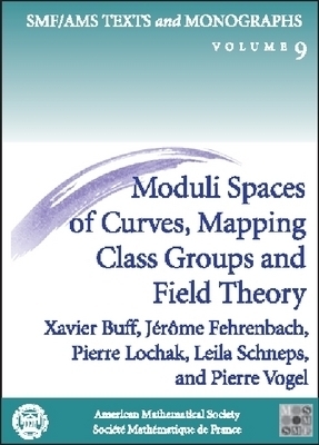 Moduli Spaces of Curves, Mapping Class Groups and Field Theory