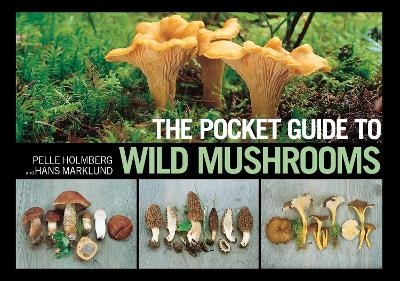 The Pocket Guide to Wild Mushrooms - Pelle Holmberg, Hans Marklund