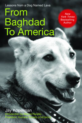 From Baghdad to America