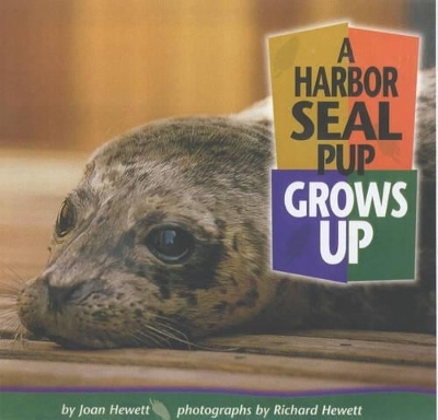 A Harbor Seal Pup Grows Up - Joan Hewett
