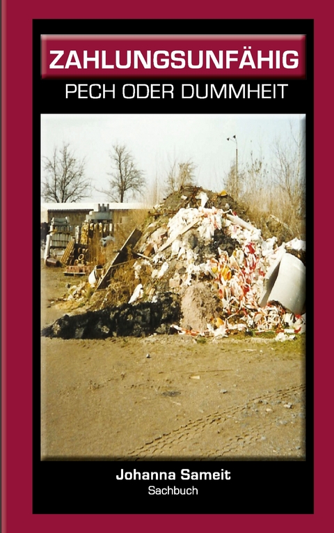 Zahlungsunf&auml;hig - Johanna Sameit