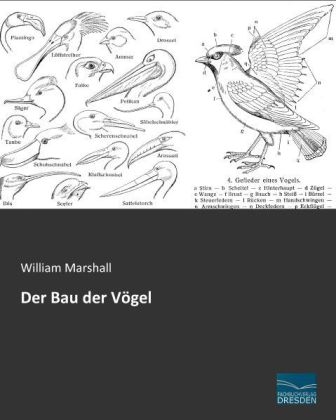 Der Bau der V&ouml;gel - William Marshall