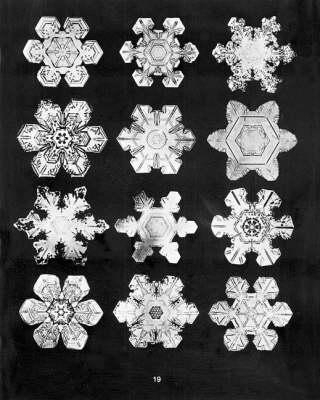Bentley'S Snowflakes - W.A. Bentley