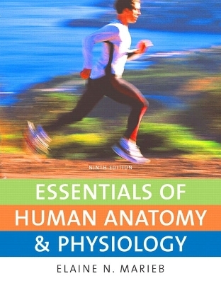 Essentials of Human Anatomy & Physiology with Essentials of InterActive Physiology CD-ROM - Elaine N. Marieb