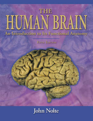 The Human Brain - John Nolte