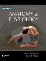 Anatomy and Physiology