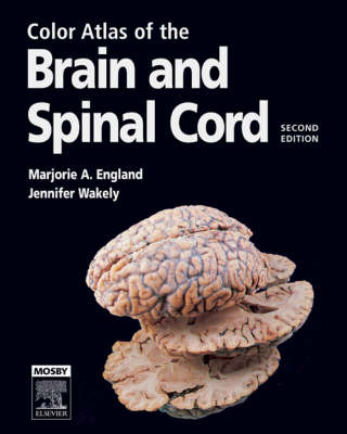 Color Atlas of the Brain and Spinal Cord - Marjorie A. England, Jennifer Wakeley
