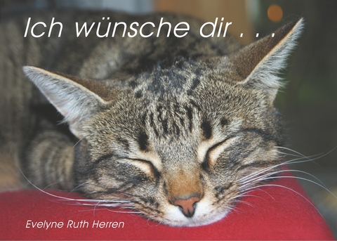 Ich w&uuml;nsche dir ... - Evelyne Ruth Herren