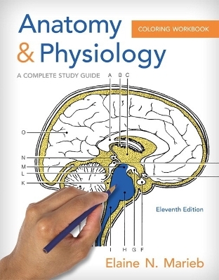 Anatomy & Physiology Coloring Workbook - Elaine N. Marieb