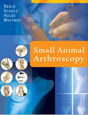 Small Animal Arthroscopy