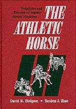 The Athletic Horse