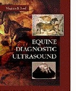 Equine Diagnostic Ultrasound