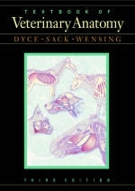 Textbook of Veterinary Anatomy