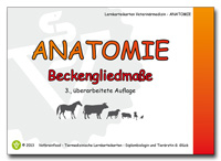 Anatomie: Beckengliedmaße