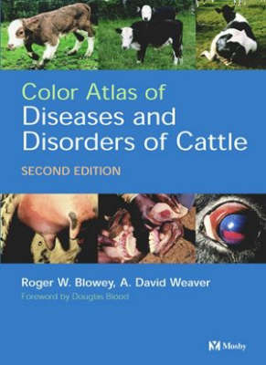 Color Atlas of Diseases and Disorders of Cattle