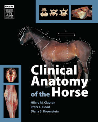 Clinical Anatomy of the Horse