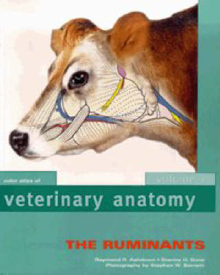 Color Atlas Of Veterinary Anatomy